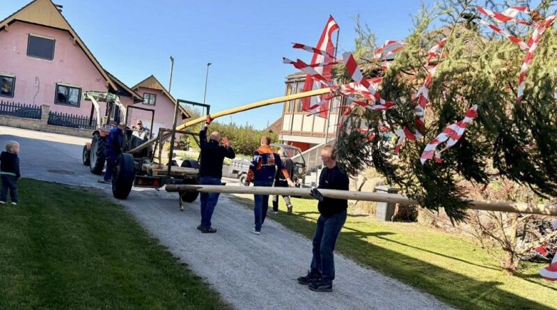 Maibaum stellen